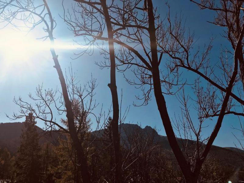 Apart-Center Pod Orlem Zakopane Dış mekan fotoğraf